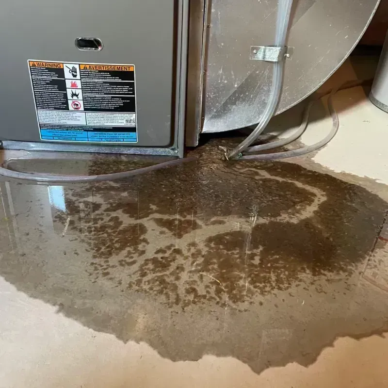 Appliance Leak Cleanup in Waukon, IA